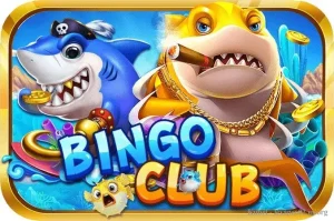 Bingo Club – cổng game bắn cá ăn tiền dẫn đầu thị trường