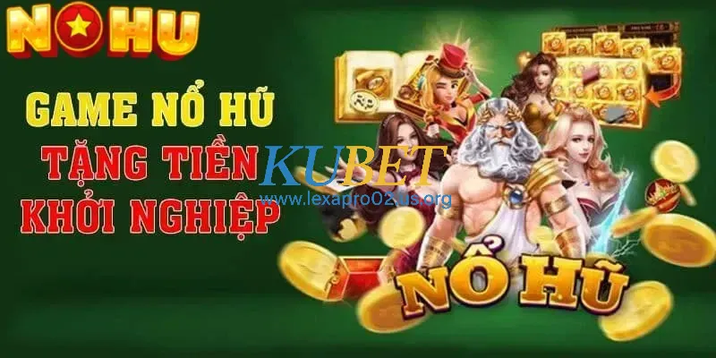Lý do nên lựa chọn NOHU để tham gia cá cược