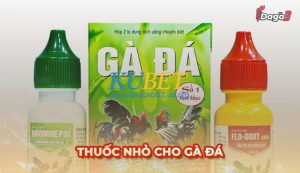 Thuốc nhỏ Gà Đá: Bí quyết tăng cường sức mạnh cho gà chọi