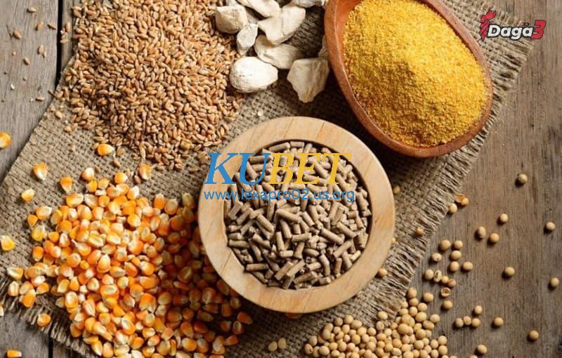 Công thức pha trộn các loại ngũ cốc cho gà đá